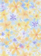 Designer Canvas Aida 14ct. 21x30cm. SKD14-137
