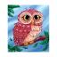 Colourful Owl