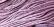 WDW 2289 Lavender Rose