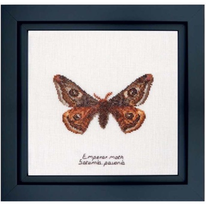 Emperor moth