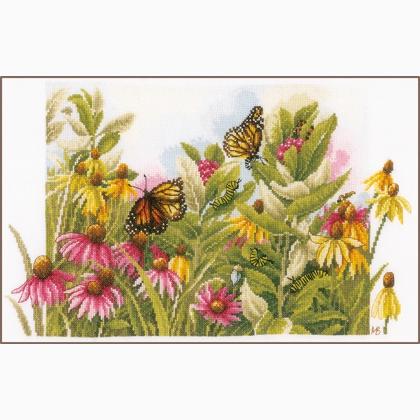 Echinacée et papillons