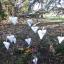 Easter Ornaments