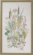 Water plants