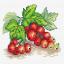 Red Currant
