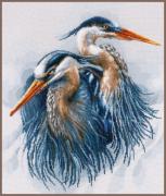 Grands Hérons bleus