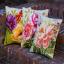 Coussin : Des roses
