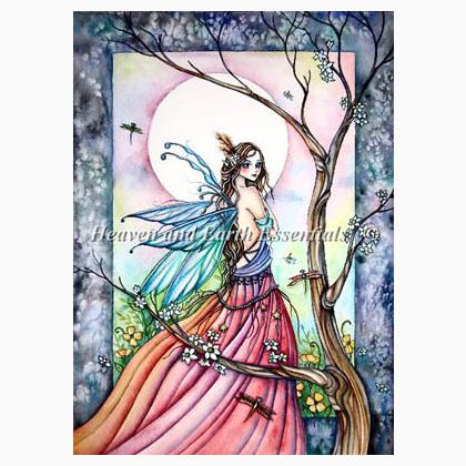 Dragonflies Whisper