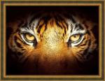 Tiger Look