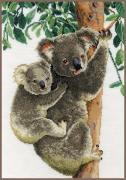 Koala avec bébé