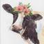Douce vache