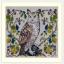 The Owl - Lucan