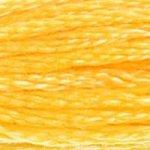 DMC Mouliné 743