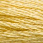 DMC Mouliné 3822