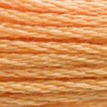 DMC Mouliné 3854