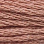 DMC Mouliné 3859
