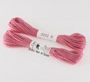 Soie d'Alger - 3022