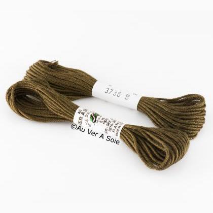 Soie d\'Alger - 3736