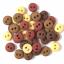 Petits boutons - Natural 1567