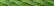Princess Perle Petite - 099 - Spring Green