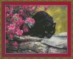 Ready To Pounce