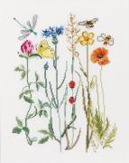 Wildflowers
