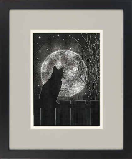 Chat de lune noir