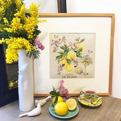 Etude Aux Citrons- Lin