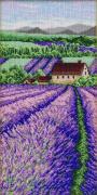 Lavender Field