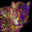 Colored Leopard