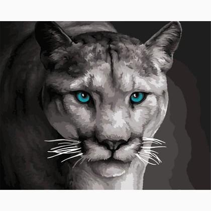Lioness on the Hunt