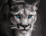 Lioness on the Hunt