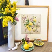 Etude Aux Citrons- Lin