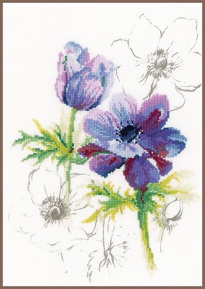 Anémones bleues