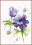 Anémones bleues