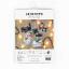 Christmas Kittens Toys