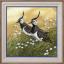 Lapwings (Jan Weenink)