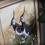 Lapwings (Jan Weenink)