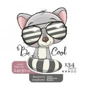 Racoon in Sunglasses