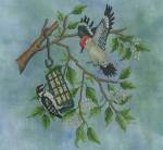 Suet Duet