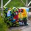 Coussin : Oiseaux tropicaux