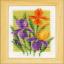 Fleurs d'été - Set de 3