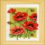 Fleurs d'été - Set de 3