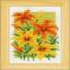 Fleurs d'été - Set de 3