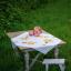 Centre de table - Fleurs orange et papillons