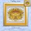 Father Sun