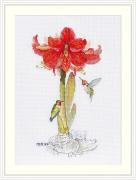 Amaryllis