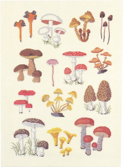 Wild Mushrooms