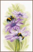 Abeilles dansantes