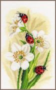 Défilé de coccinelles