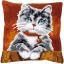 Coussin : Chat avec collier